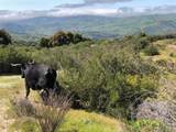 Creek Ranch, 36000 Carmel Valley Road - Photo 28