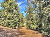 0 Grimes Canyon Road - Photo 10