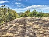 0 Grimes Canyon Road - Photo 5