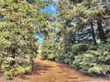 0 Grimes Canyon Road - Photo 8