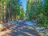 1803 Evergreen - Photo 13
