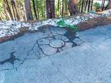 1803 Evergreen - Photo 16