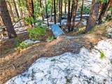 1803 Evergreen - Photo 17
