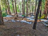 1803 Evergreen - Photo 19