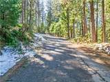 1803 Evergreen - Photo 21