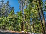 1803 Evergreen - Photo 25