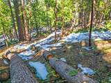 1803 Evergreen - Photo 28