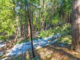 1803 Evergreen - Photo 29