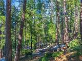 1803 Evergreen - Photo 32