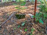 1803 Evergreen - Photo 33