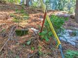 1803 Evergreen - Photo 34