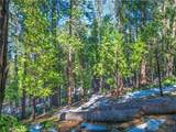 1803 Evergreen - Photo 35