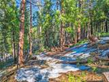 1803 Evergreen - Photo 37