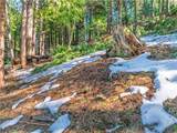 1803 Evergreen - Photo 38