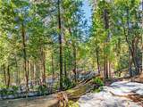 1803 Evergreen - Photo 40