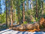1803 Evergreen - Photo 41