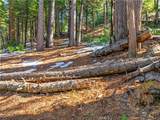 1803 Evergreen - Photo 42