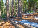 1803 Evergreen - Photo 43