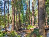 1803 Evergreen - Photo 44