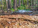 1803 Evergreen - Photo 46