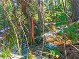1803 Evergreen - Photo 47