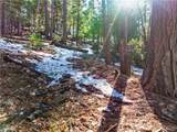 1803 Evergreen - Photo 49