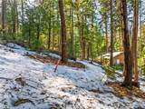1803 Evergreen - Photo 52