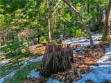 1803 Evergreen - Photo 53