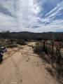 8 Dove Drive - Photo 16