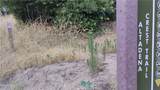 3017 Zane Grey - Photo 40