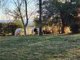 9678 Slope - Photo 5