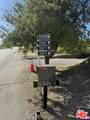 33477 Mulholland Highway - Photo 15