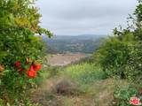 45220 Los Gatos Road - Photo 4