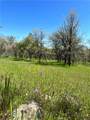 18461 Old Wards Ferry Road - Photo 10
