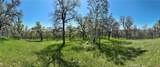 18461 Old Wards Ferry Road - Photo 7