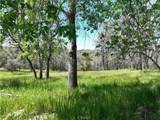 18461 Old Wards Ferry Road - Photo 8