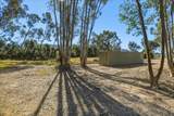 5461 Rainbow Creek - Photo 9
