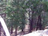 2379 Spring Oak - Photo 3