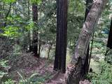 0 Riverside Road - Photo 6