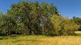 401 Fulton Street - Photo 9
