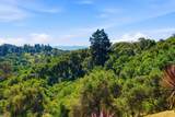 380 Mockingbird Ridge Road - Photo 66