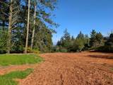 22065 Old Santa Cruz Highway - Photo 12