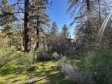 0 Twin Lakes - Photo 6