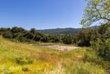 12661 Highwinds Road - Photo 10