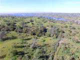 0 11.81 Ac Road 400 - Photo 5
