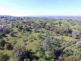 0 11.81 Ac Road 400 - Photo 6