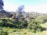 0 11.81 Ac Road 400 - Photo 8