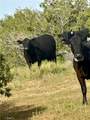0 Bowen Ranch Road - Photo 9