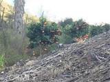 0 Via Barranca - Photo 12