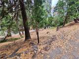 24397 Horst Drive - Photo 11